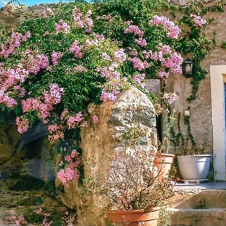 Le Patio. Casa Mucchielli Bed and Breakfast Corbara Exterior foto