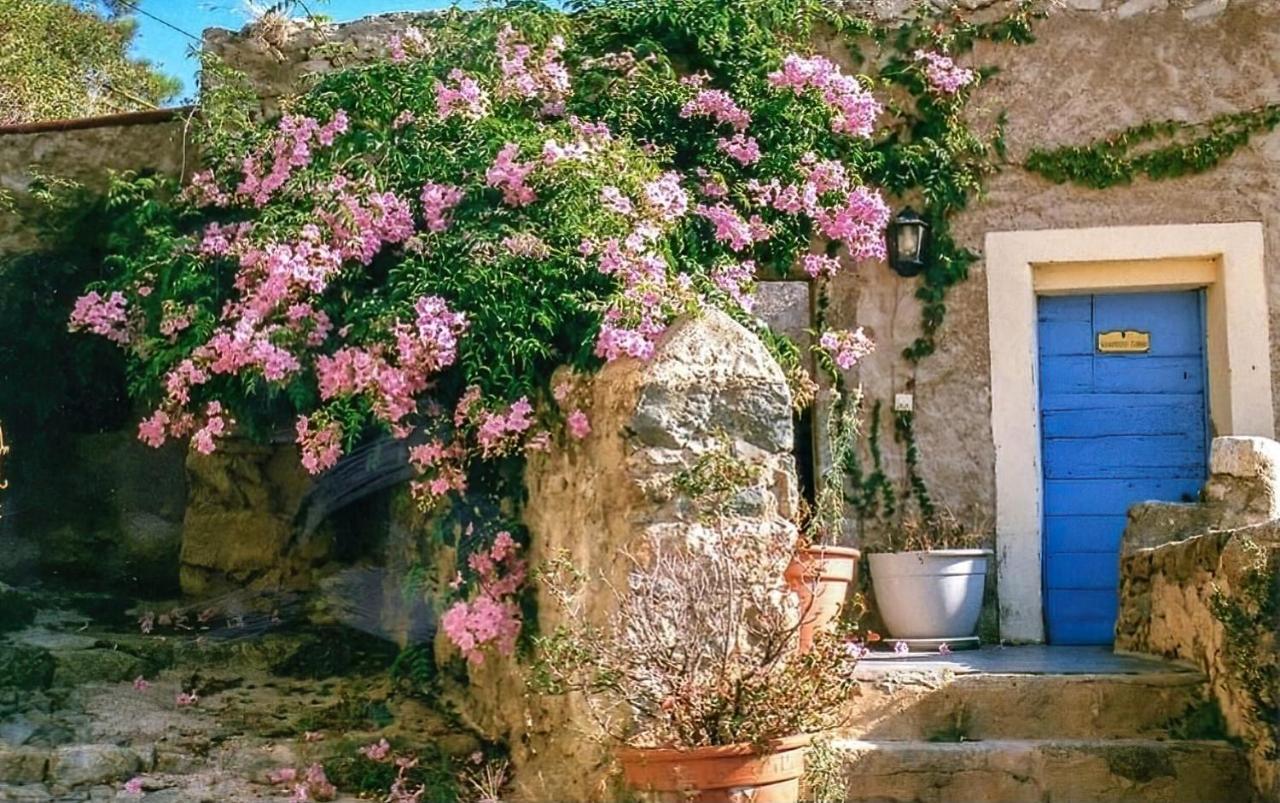 Le Patio. Casa Mucchielli Bed and Breakfast Corbara Exterior foto